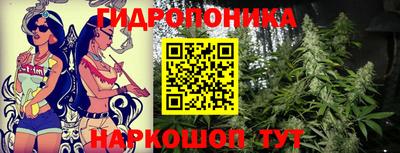 таблы Кингисепп